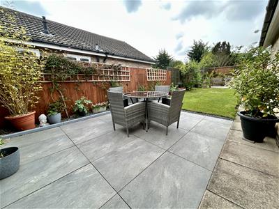 Picture 16